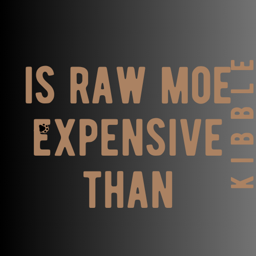 Is raw more expensive than feeding kibble?