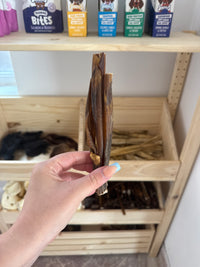 Camel Skin