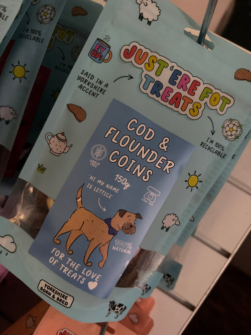 Fish Coins