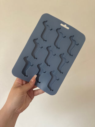 Jelly/Kefir Mould