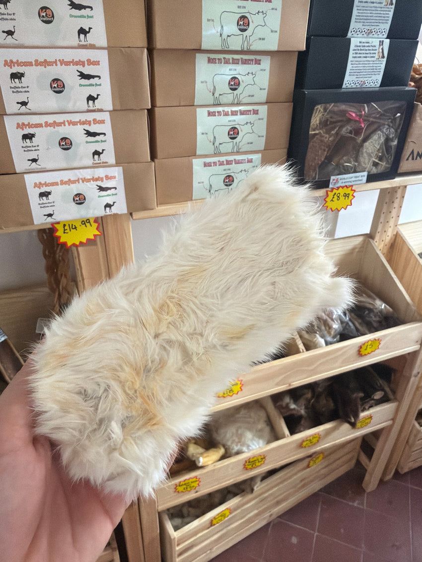 Rabbit Skin