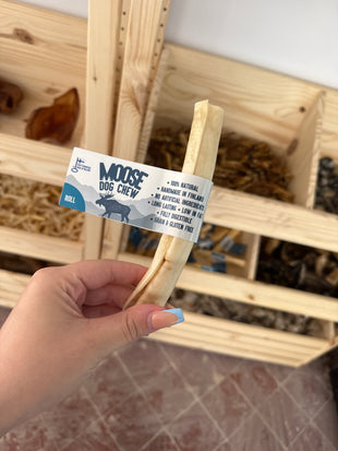 Moose Dog Chew