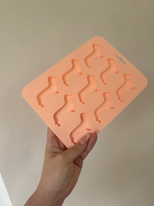 Jelly/Kefir Mould
