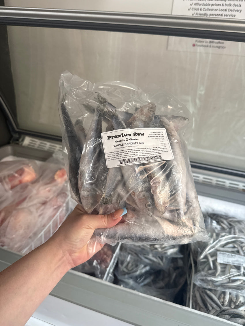 Sardines 1KG