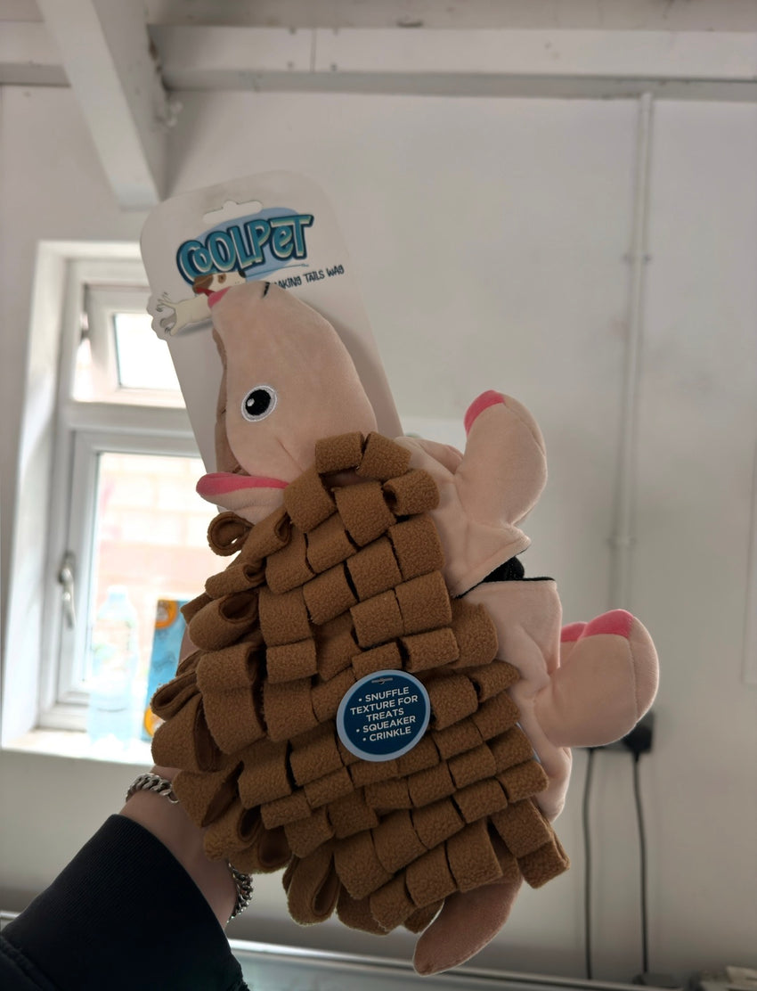 Hedgehog Snuffle Toy