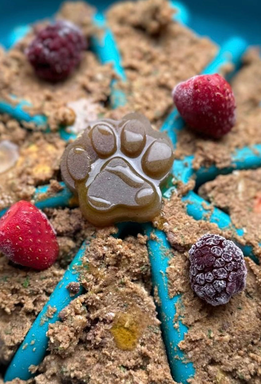 Jelly Dog Sachet