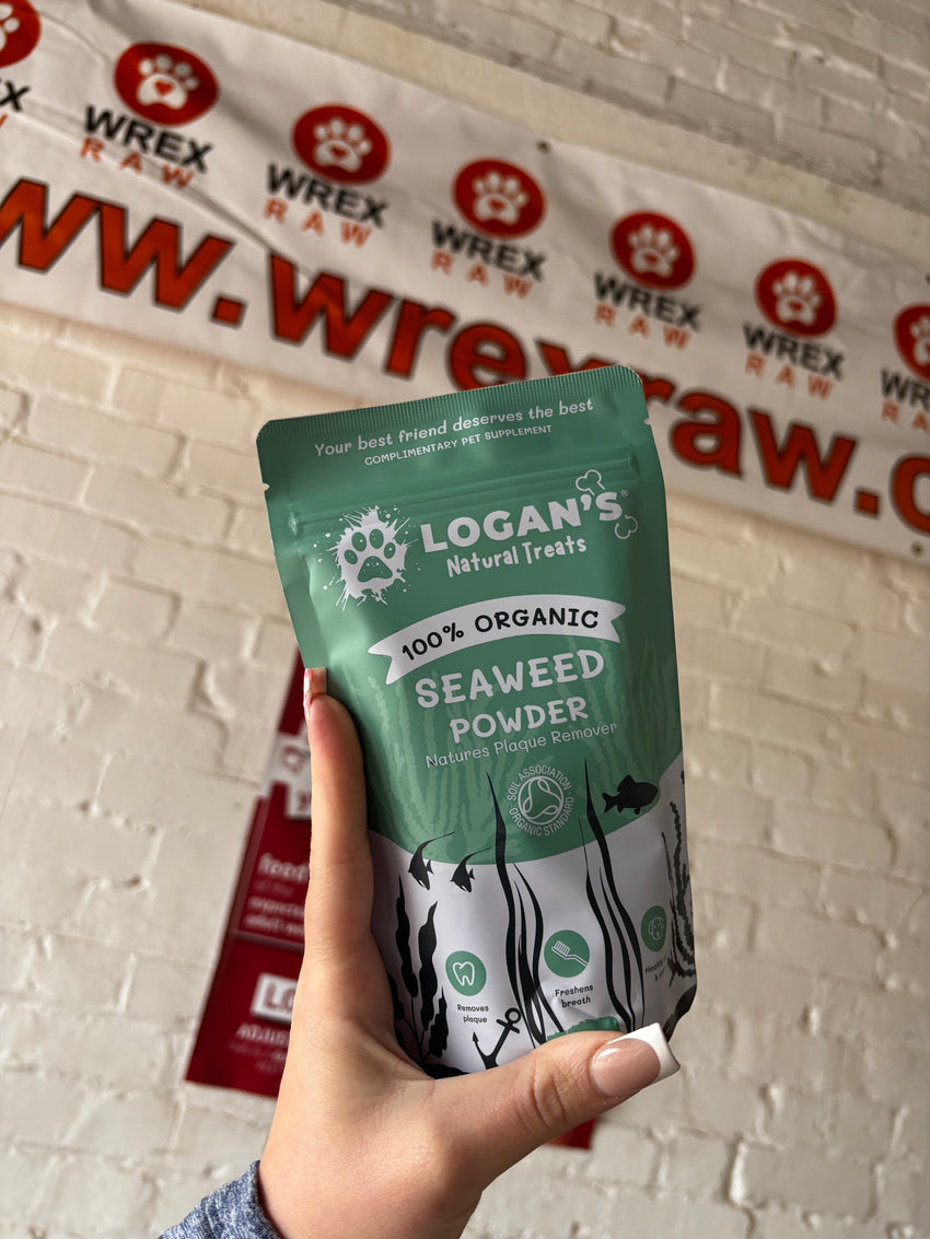 SeaWeed Powder 100% organic - Wrexraw