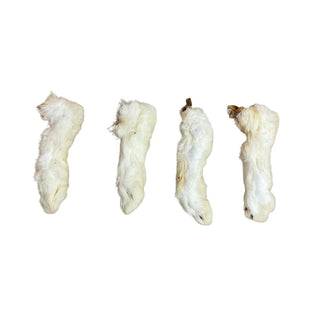 Dry Rabbit Feet x 3