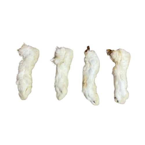 Dry Rabbit Feet x 3