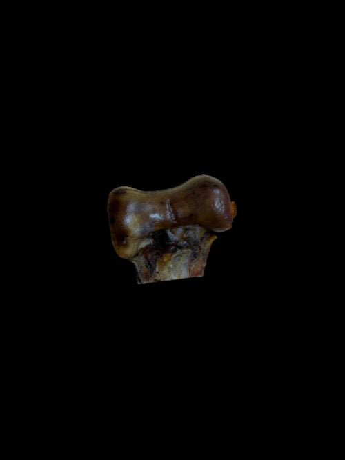Mini Ostrich Knucke