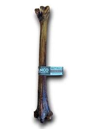 ANCO Ostrich Whole Metatarus Bone