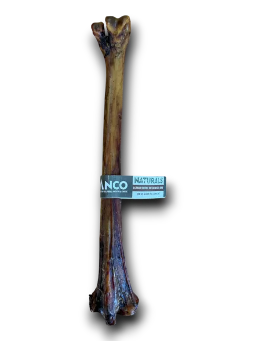 ANCO Ostrich Whole Metatarus Bone