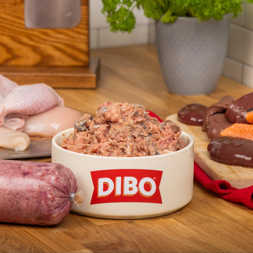 Dibo Chubb 454g