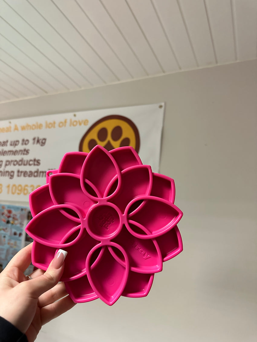 Soda Pup Mandala Enrichment Tray