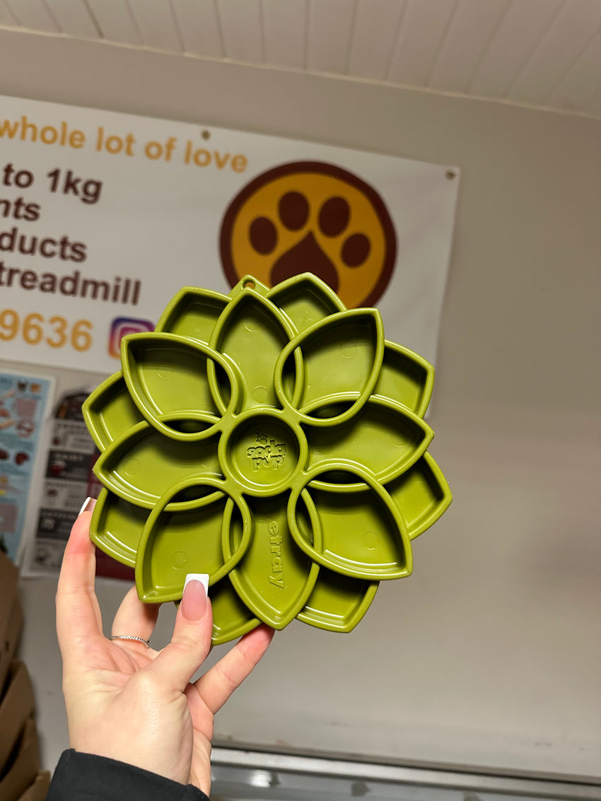 Soda Pup Mandala Enrichment Tray