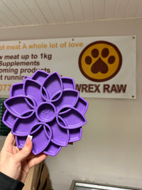 Soda Pup Mandala Enrichment Tray
