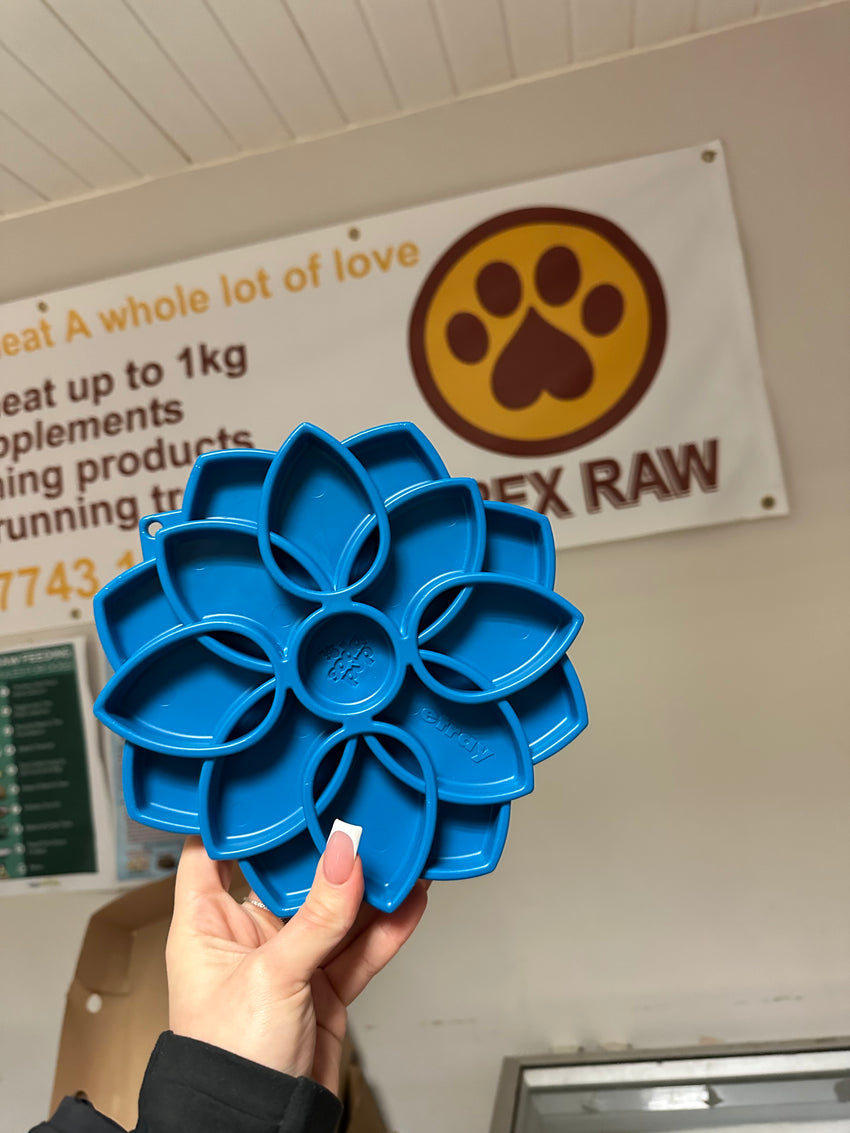 Soda Pup Mandala Enrichment Tray