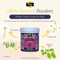 ProFlax Tummy Tastic 125g - Wrexraw