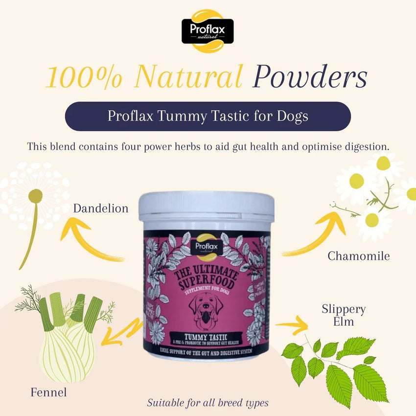 ProFlax Tummy Tastic 125g - Wrexraw