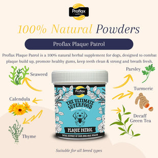 Proflax Plaque Patrol 100g - Wrexraw