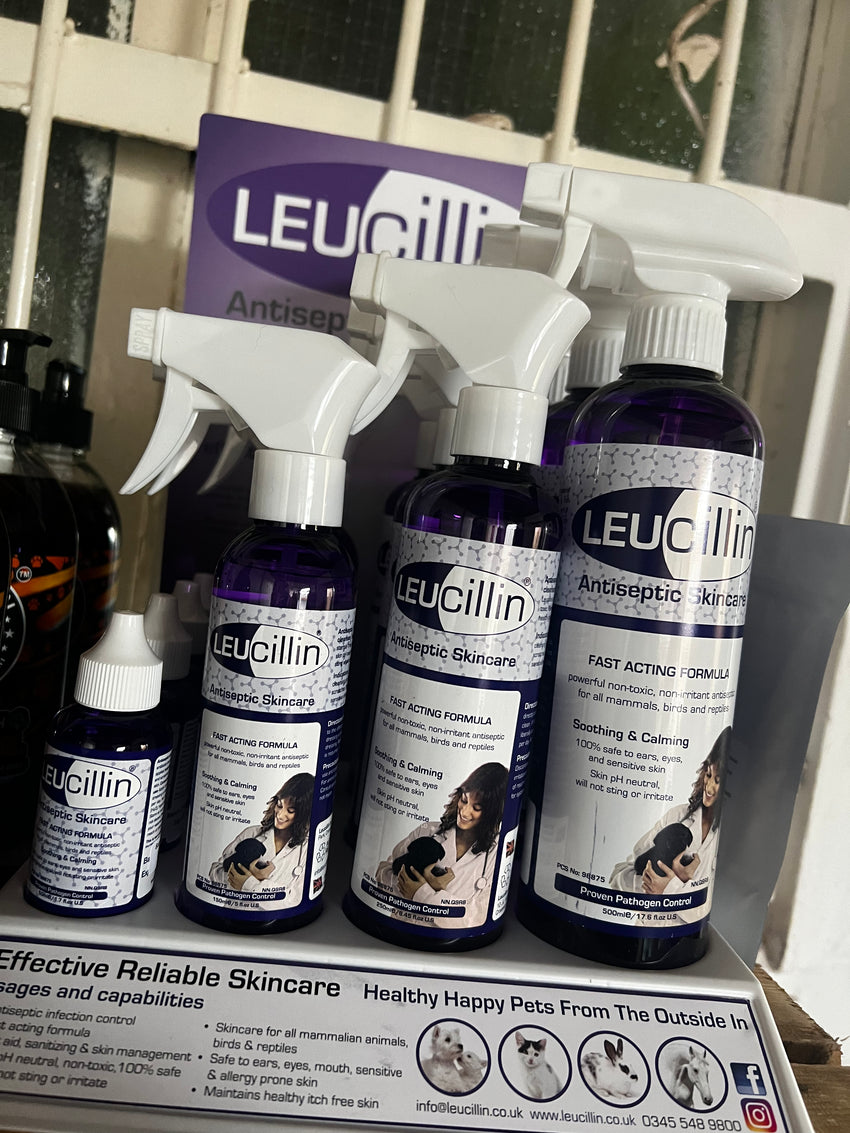 Leucillin Antiseptic - Wrexraw