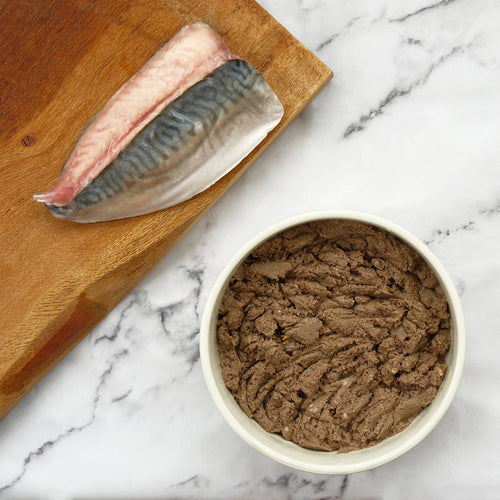RTPF Oily Fish P